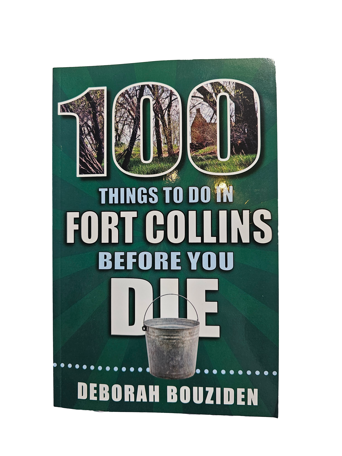 100 Things Book